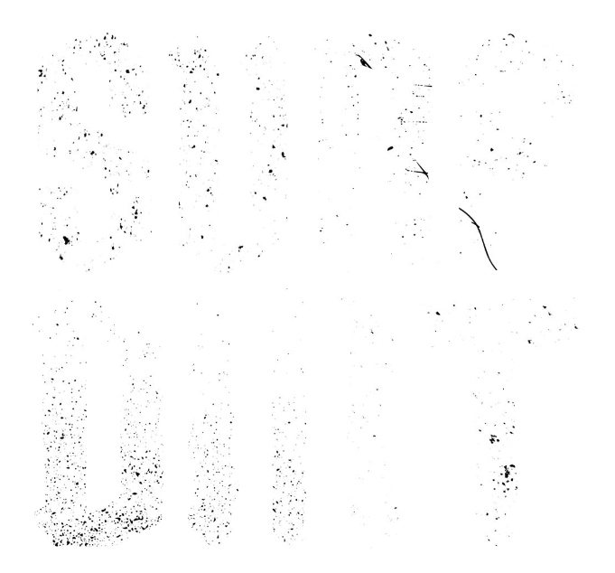 Salt on the skin. Dirt on the Soul. No scripted language. No forced control. We carve the path they can't explain. Rough and raw, against the grain.